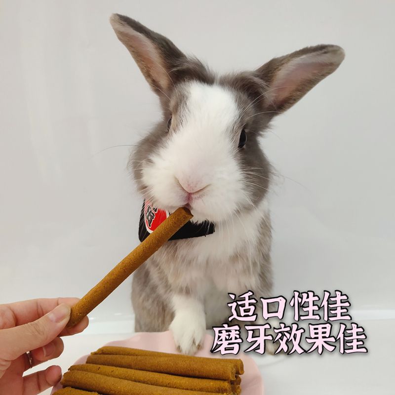兔子磨牙棒龙猫荷兰猪仓鼠胡萝卜磨牙棒垂耳兔宠物侏儒兔磨牙零食