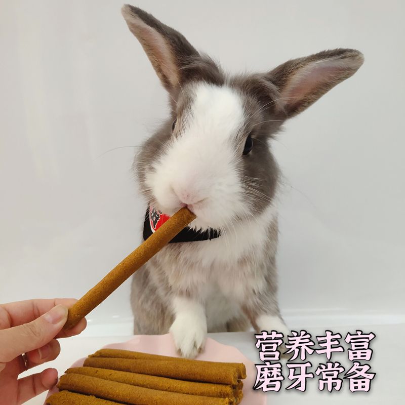兔子磨牙棒龙猫荷兰猪仓鼠胡萝卜磨牙棒垂耳兔宠物侏儒兔磨牙零食