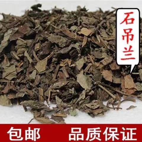 中药材石吊兰 黑乌骨 石豇豆 石泽兰 岩石茶 岩泽兰