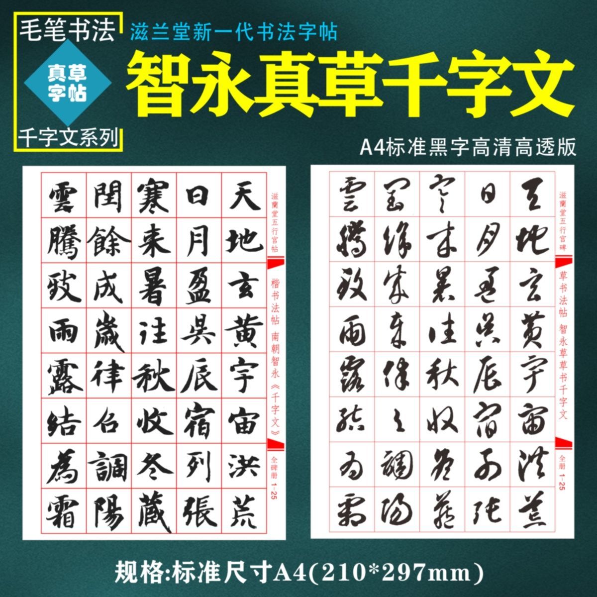 智永真草千字文楷书草书中小学书法教育配套毛笔字帖a4临摹描红