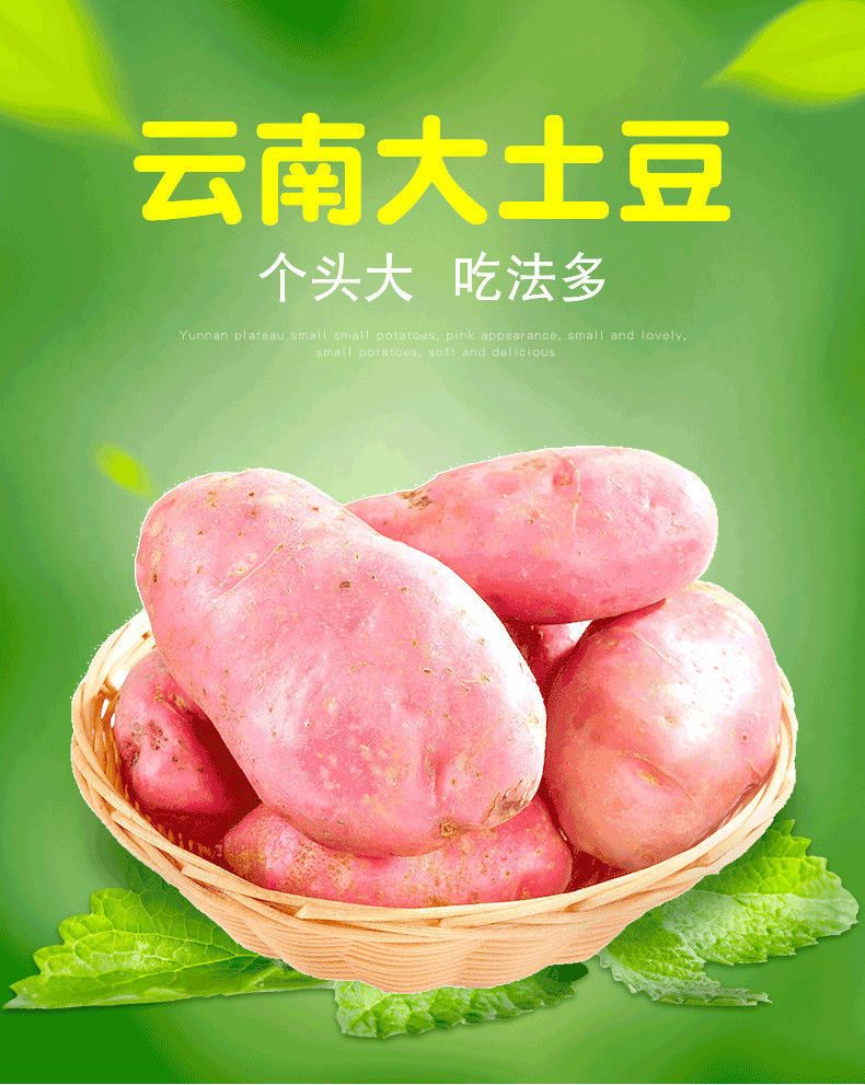 2021年云南高原新鲜现挖红皮黄心土豆5斤10斤洋芋老品种马铃薯