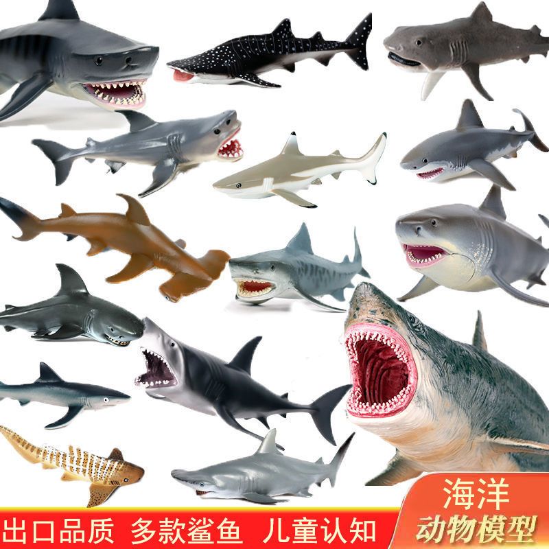 【仿真模型】鲨鱼模型大小号大白鲨巨齿鲨虎鲨儿童海洋生物摆件