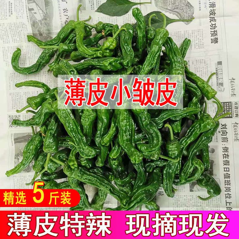 农家自种枣庄新鲜薄皮辣椒特辣超辣蔬菜土辣椒皱皮辣椒螺丝椒