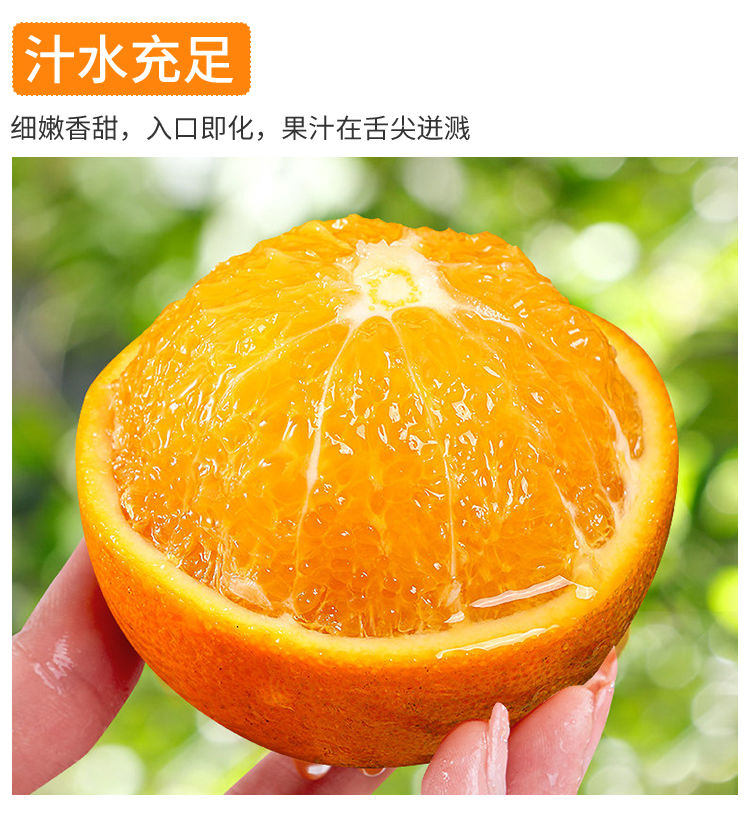 四川青见果冻柑橘丑桔新鲜孕妇水果现摘现发桔子2/5/10斤橘子整箱