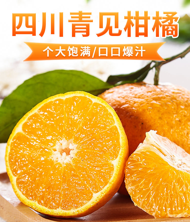 四川青见果冻柑橘丑桔新鲜孕妇水果现摘现发桔子2/5/10斤橘子整箱