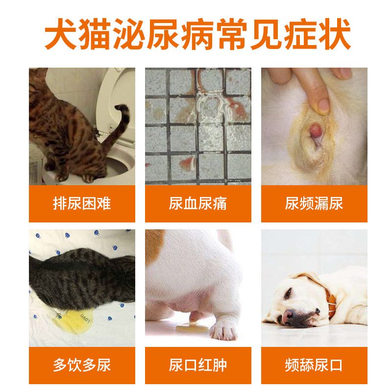 普安特泌维纳猫咪狗狗泌尿药利尿通尿路消炎尿道炎尿频尿血尿不出 虎窝拼