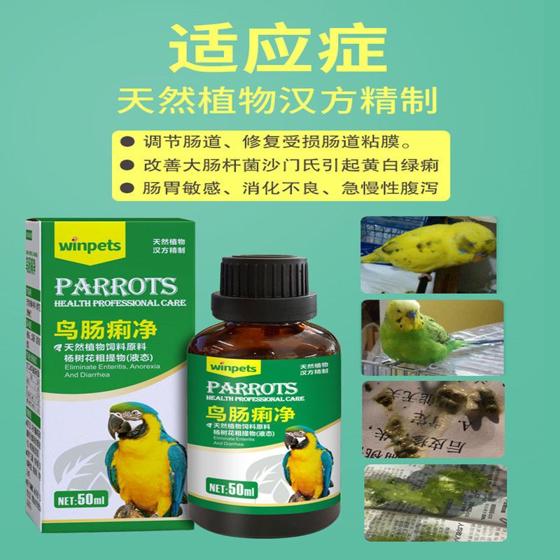 鹦鹉拉稀药八哥玄风常见病用药鸽子药水便绿便下痢肠炎鸟类专用药