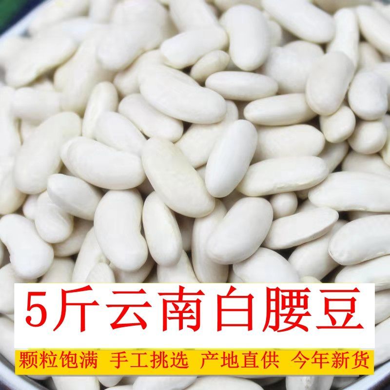 云南白腰豆农家自产小白豆小白芸豆五谷杂粮白腰豆菜豆今年新货