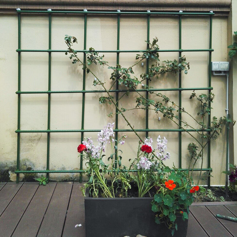 花墙爬藤架蔬菜种植架子葡萄架室内园艺庭院植物架搭棚架子钢管 虎窝拼