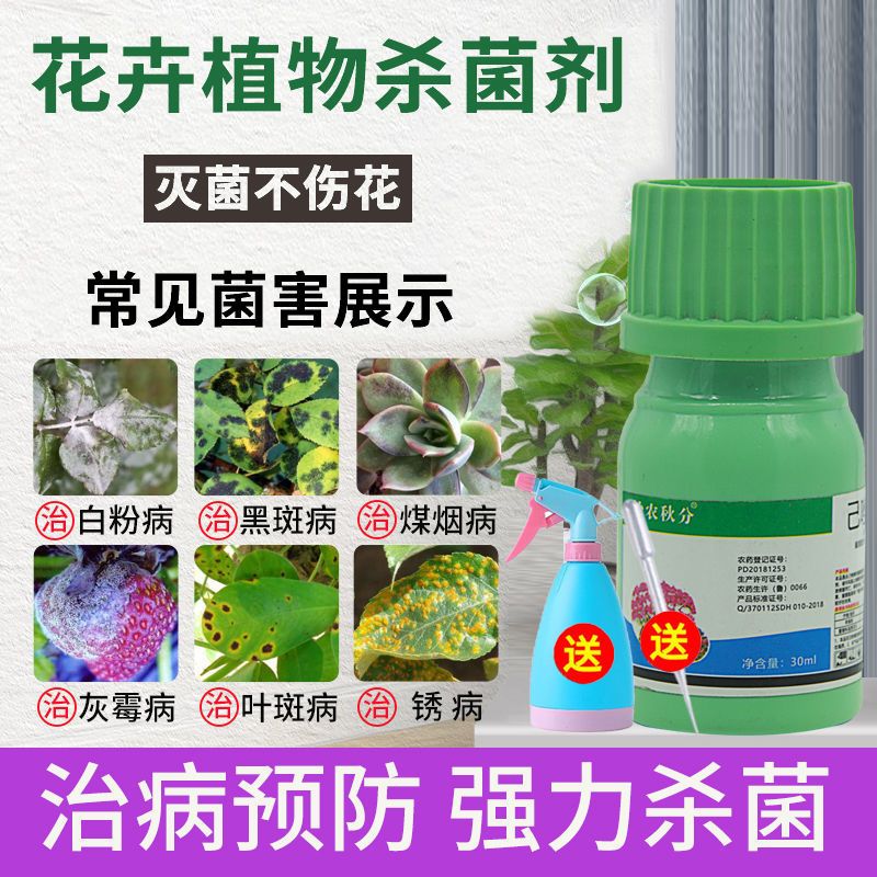 植物除菌剂草莓花卉月季玫瑰通用治白粉病黑斑专用药多菌灵杀菌剂