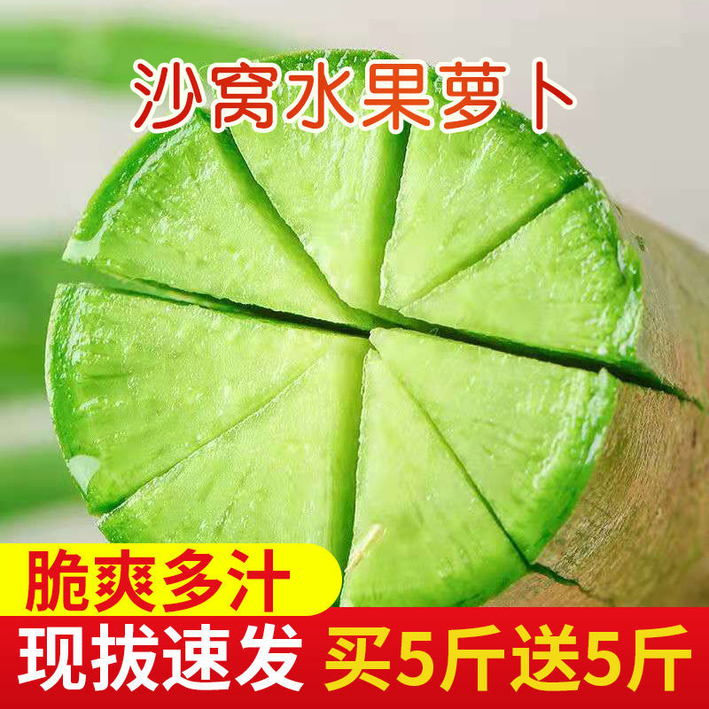 37849-【现拔新货】水果萝卜生吃甜脆 潍县沙窝萝卜水果青萝卜新鲜蔬菜-详情图