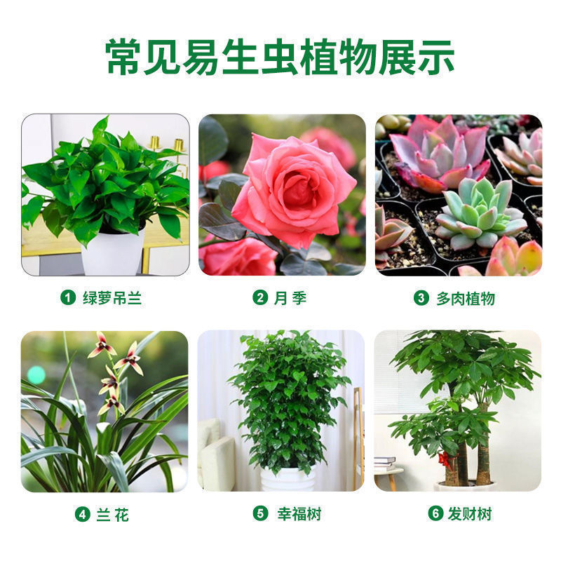 植物杀虫剂喷雾家用潮虫花卉百虫灵月季花蜘蛛蜈蚣小飞虫无毒杀虫 虎窝拼