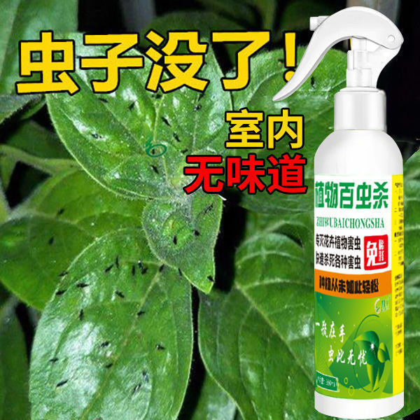 植物杀虫剂喷雾家用潮虫花卉百虫灵月季花蜘蛛蜈蚣小飞虫无毒杀虫 虎窝拼