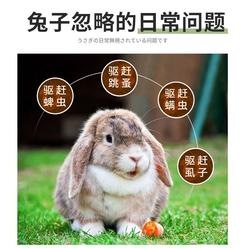 兔子驱虫药兔子驱虫喷雾兔兔专用体外驱虫杀跳蚤蜱虫虱子杀虫剂