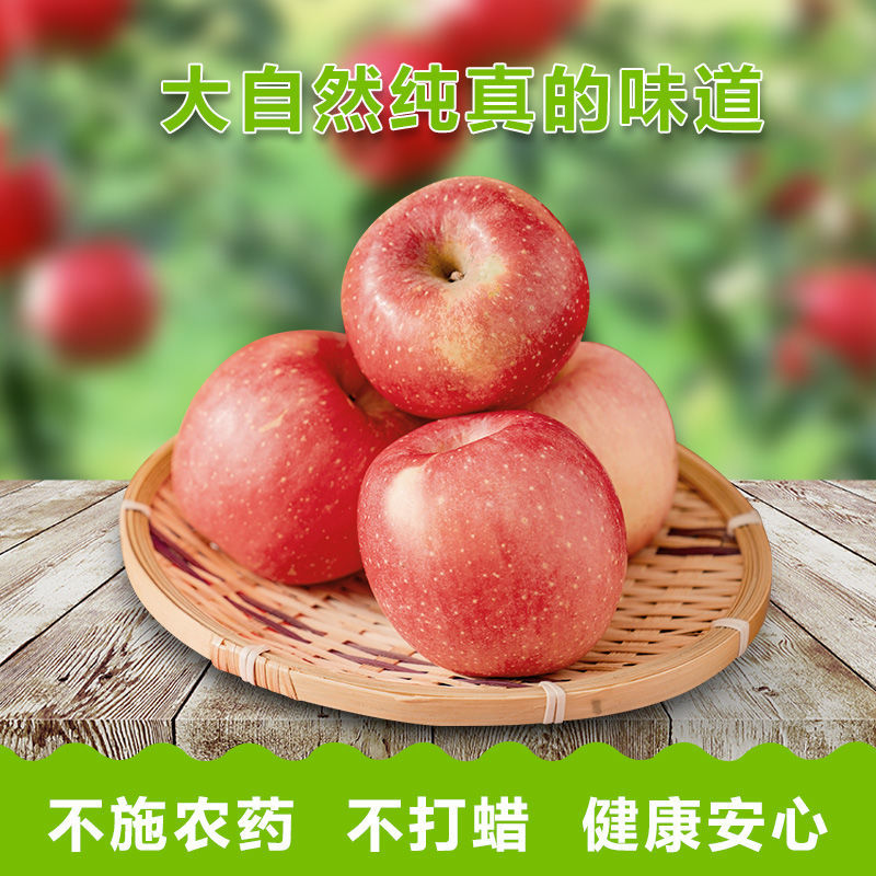 37776-正宗陕西洛川苹果红富士精品新鲜水果脆甜孕妇小孩吃十斤产地直发-详情图
