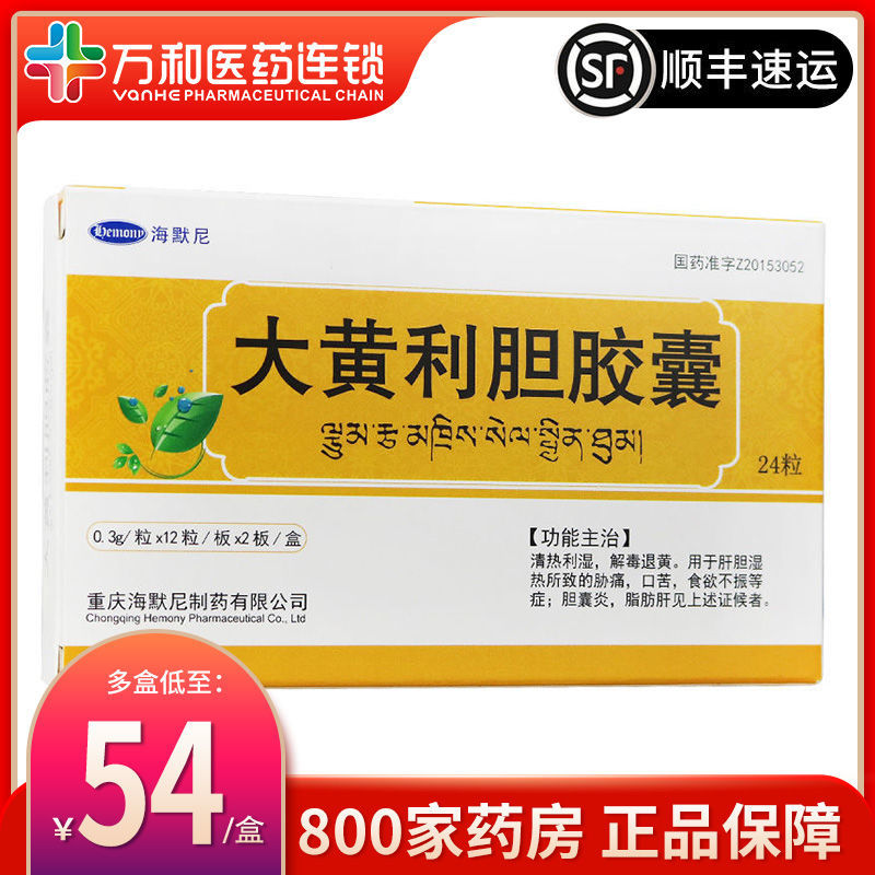 海默尼 大黄利胆胶囊 0.3g*24粒/盒 清热利湿 解毒退黄 胆囊炎 脂肪肝