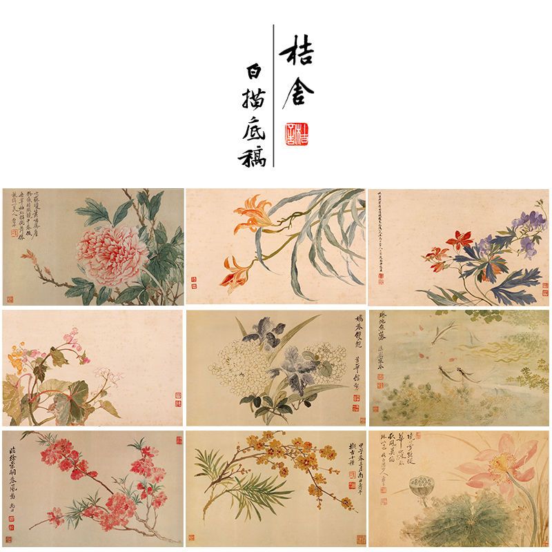 恽寿平没骨工笔画白描底稿花卉册页一套十幅临摹画稿花鸟线稿sp93