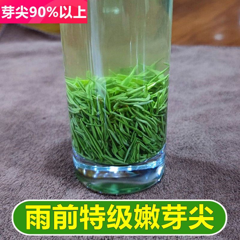 嫩芽尖信阳毛尖2021新茶雨前特级芽尖浓香型栗香散装绿茶春茶250g