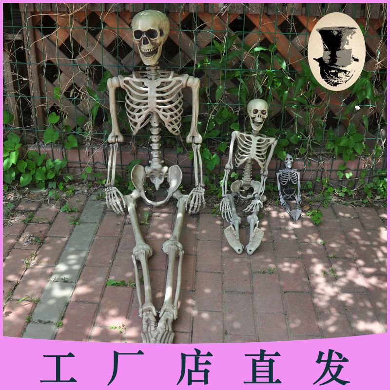 骷髅骨架道具万圣节用品鬼屋密室逃脱素描写生模型美术影视用具 虎窝拼