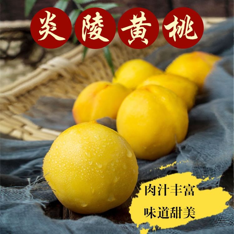 57792-炎陵黄桃正宗湖南株洲炎陵高山红心黄桃当季水果现摘现发农户直达-详情图