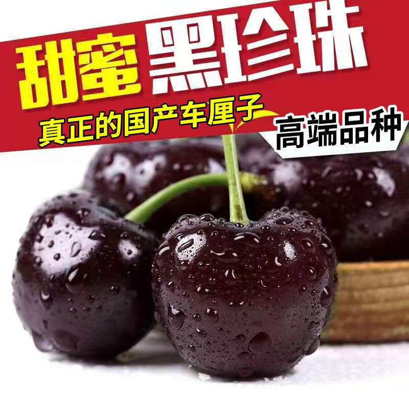 【顺丰】山东烟台大樱桃黑珍珠车厘子3斤新鲜水果5应季整箱10批发