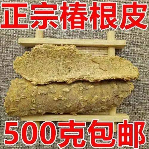 中药材春根皮 野生春根树皮500克包邮椿树皮/臭椿/椿白皮/樗白皮