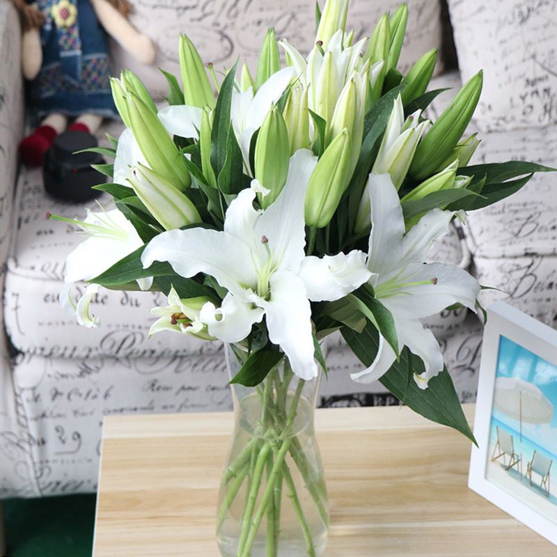 云南基地直发香水百合花鲜花朵精致猪猪女孩梳妆台办公摆件必备 虎窝拼