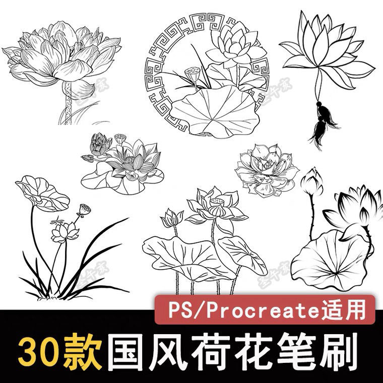 平板绘画笔刷ps笔刷中国风荷花花卉线稿荷叶睡莲植物图案素材