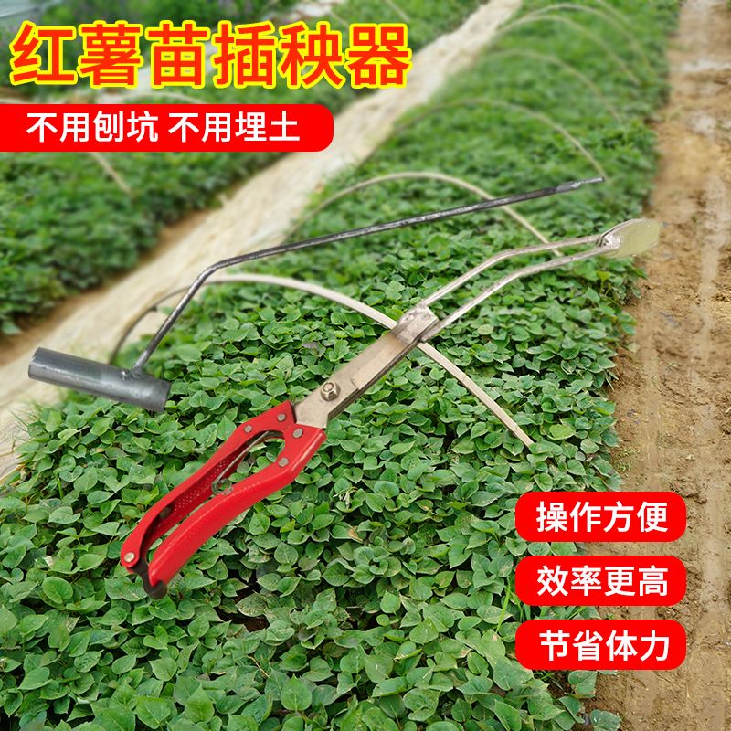 红薯苗栽苗器紫薯苗烟薯苗红薯苗插秧器 蔬菜苗辣椒苗栽苗神器