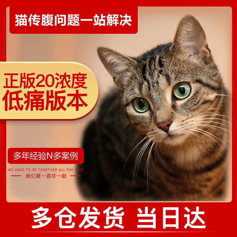 猫传腹药fipv针剂针水口服片猫腹膜炎抑制剂消腹水干湿性44检测1_虎窝拼