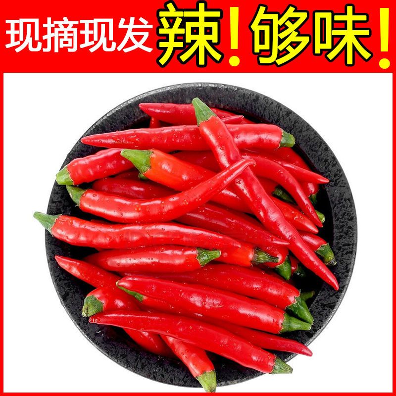 37852-现摘特辣小米椒新鲜朝天椒魔鬼辣椒辣椒蔬菜多规格米椒辣椒新鲜-详情图