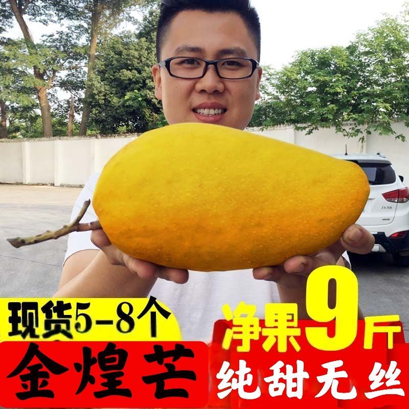 37833-芒果海南金煌芒果大青芒水仙芒甜心芒3斤/5斤/10斤包邮批发-详情图