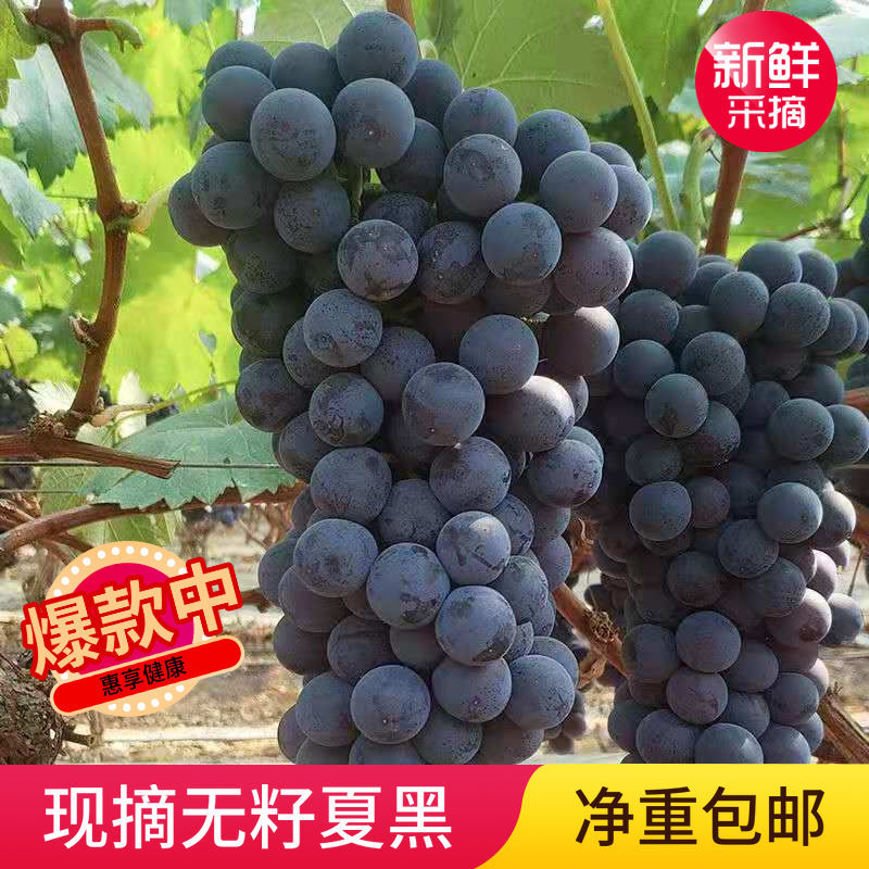 54210-夏黑无籽葡萄新鲜水果当季脆甜低糖黑加仑孕妇儿童黑提子整箱批发-详情图