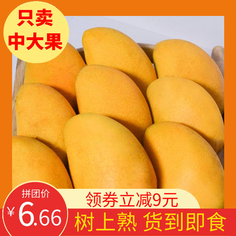 37786-【树上熟】云南非海南台芒 整箱水果 当季水果 应季水果 到货即食-详情图