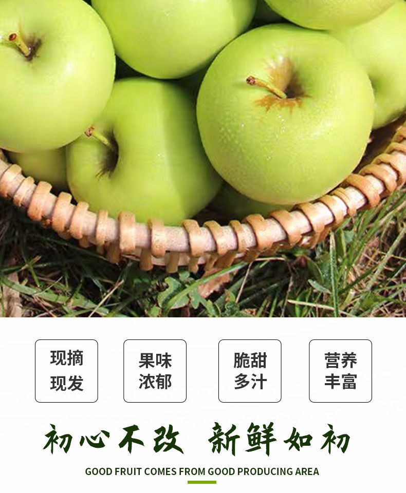 【现摘】青苹果水果新鲜脆甜酸苹果应季批发一整箱孕妇平果山西当