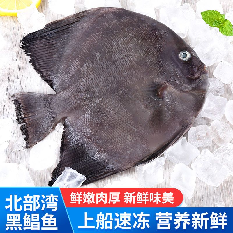 北部湾黑鲳鱼燕子鲳海水鱼大号新鲜冷冻鲜活急冻海鲳鱼海鲜水产品
