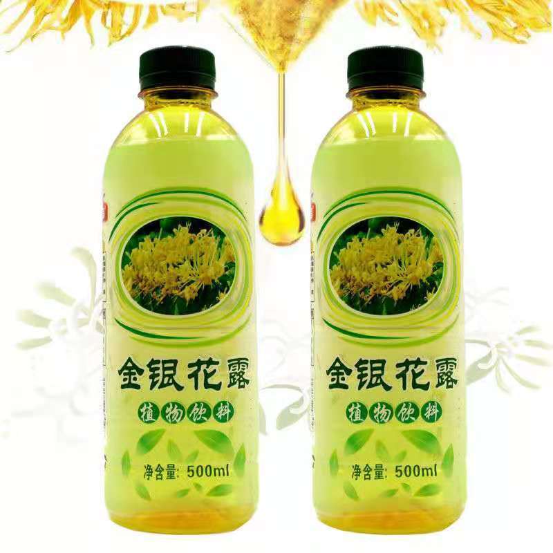 【凉茶饮品】金银花露植物饮料500ml*6瓶挑战者清凉金银花凉茶