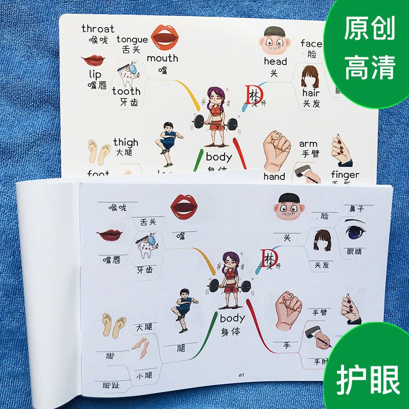 小学英语单词分类思维导图速记忆小学同步英语单词认知闪卡片