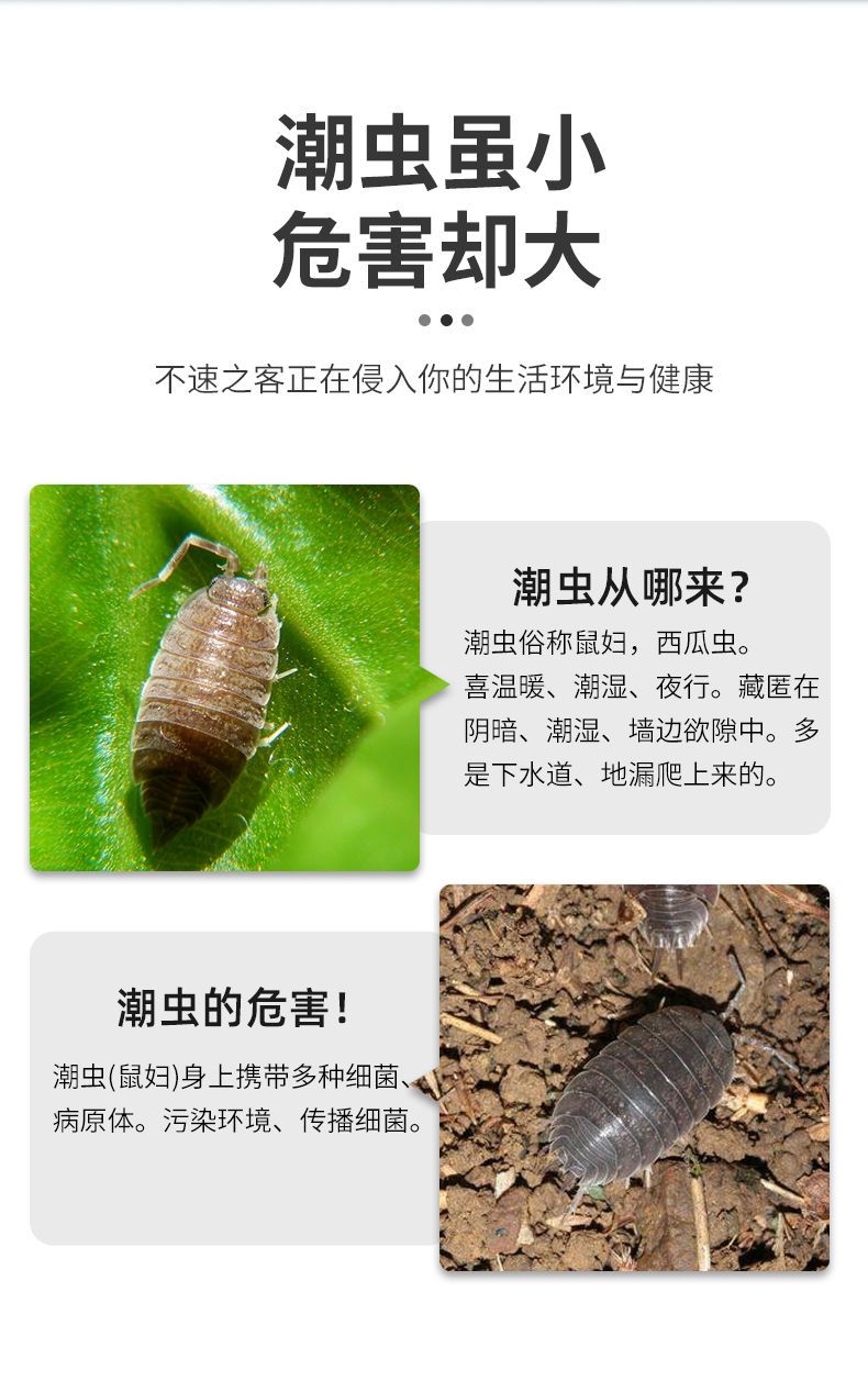 潮虫药家用全窝端室内去潮湿虫西瓜虫杀虫剂卫生间厨房灭潮虫克星