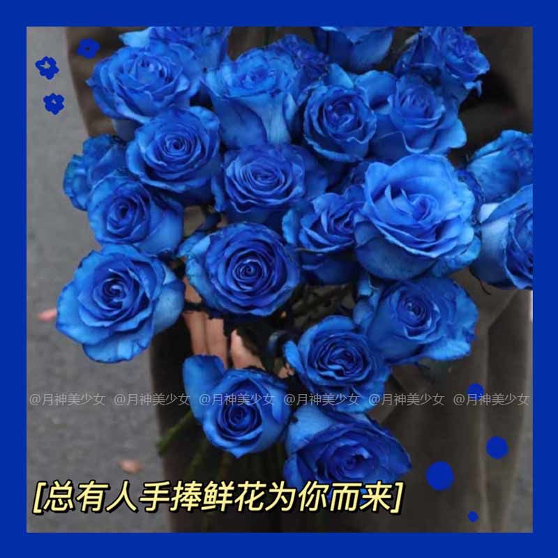 月神 韩ins风蓝色玫瑰仿真花浪漫蓝色妖姬假花桌面装饰拍照道具