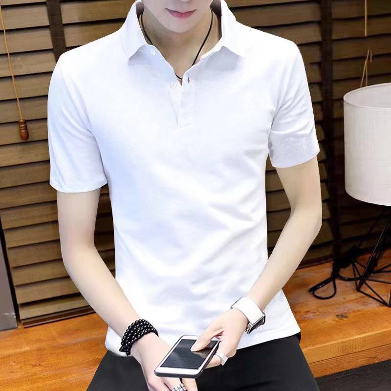 Summer men's lapel short-sleeved t-shirt middle-aged and young Polo shirt loose men's casual half-sleeved T-shirt sweatshirt 12 pieces