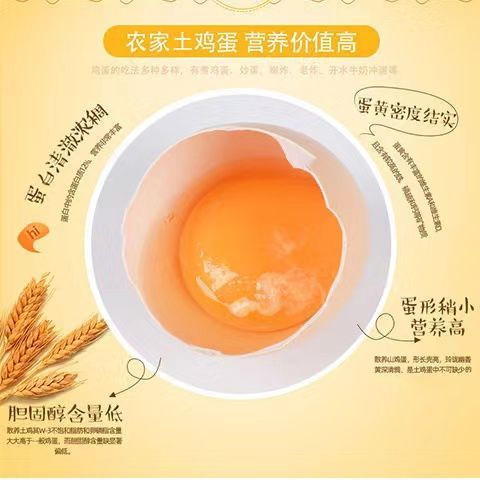 105849-【顺丰包邮】正宗土鸡蛋新鲜批发价40枚20枚草鸡蛋农家柴鸡蛋-详情图