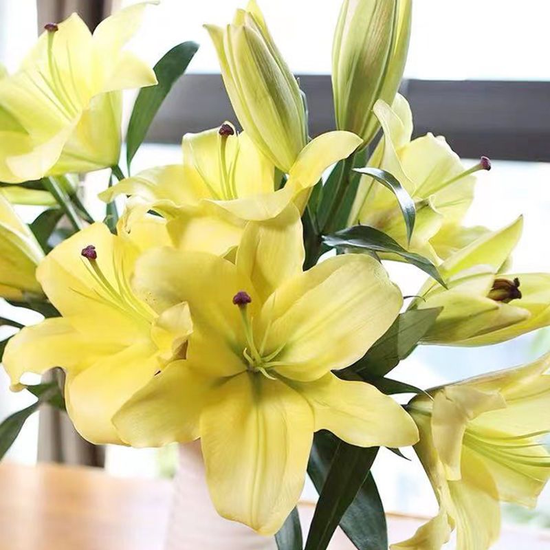 百合鲜花现采现发香水百合花束粉白真花插花速递水养花束送礼物花 虎窝拼