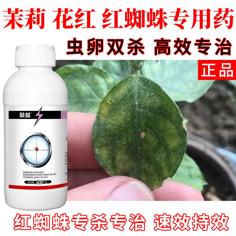 茉莉花红红蜘蛛特效药专用药阿维螺螨酯茉莉花红杀虫杀卵杀螨克星