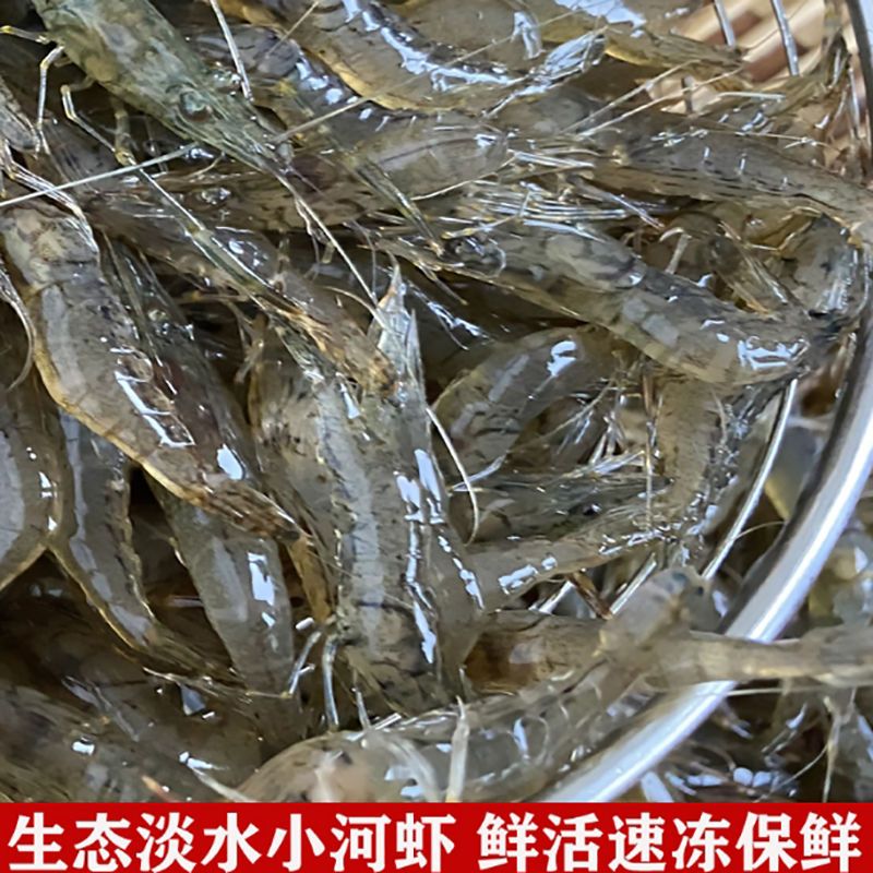 猫扑鱼微山湖野生小河虾淡水新鲜鲜活小白虾小土虾小明虾冰鲜包邮