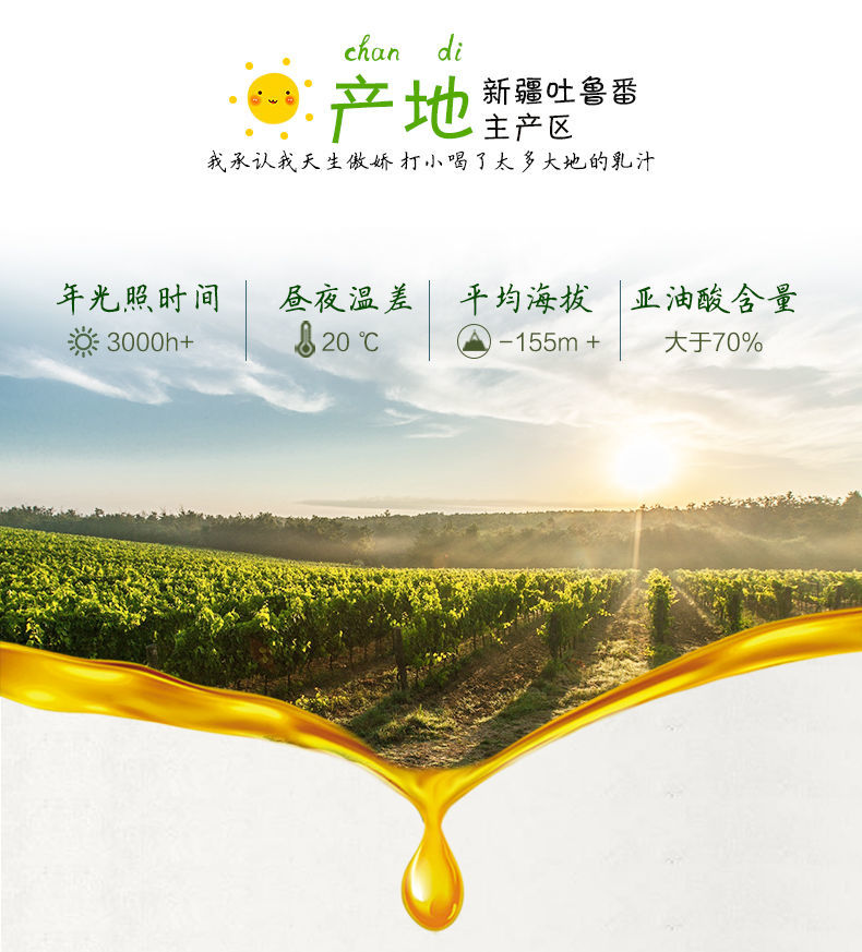 春之言  帝麦葡萄籽油纯葡萄籽食用油亚油酸含量大于百分之70植物油500ml