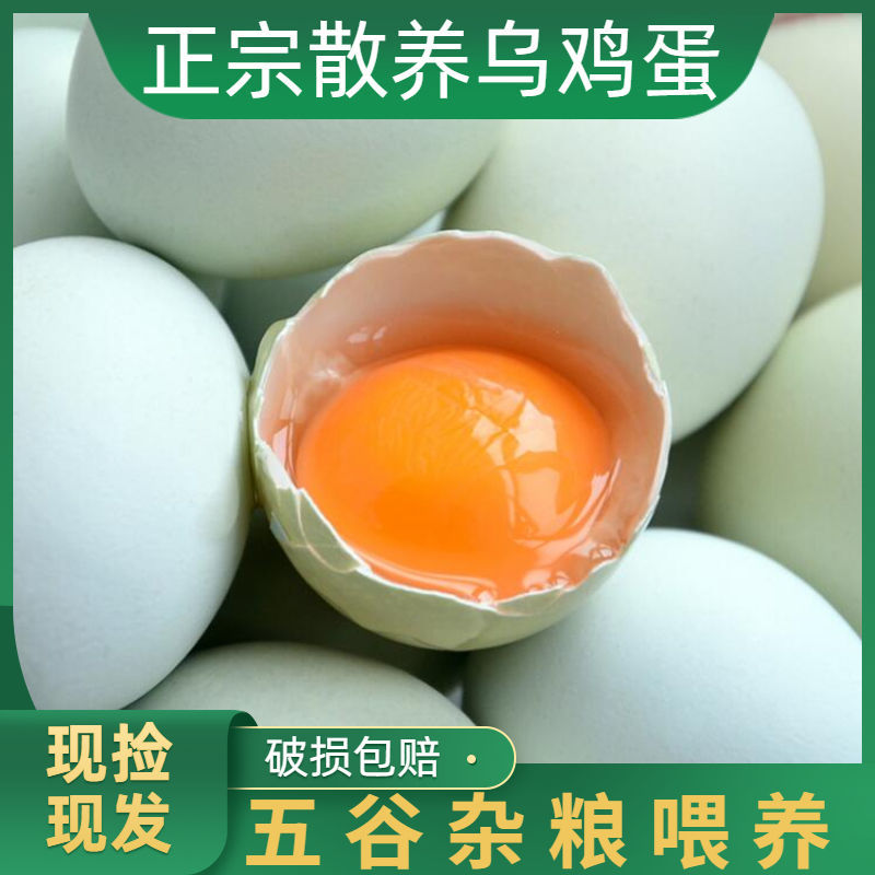 正宗农家散养五黑乌鸡蛋10枚新鲜绿壳土鸡蛋柴鸡蛋绿皮乌骨草鸡蛋