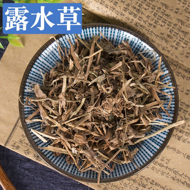 露水草中药材云南野生鸡冠参 珍珠露水草 如意珍珠草 换肺草包邮