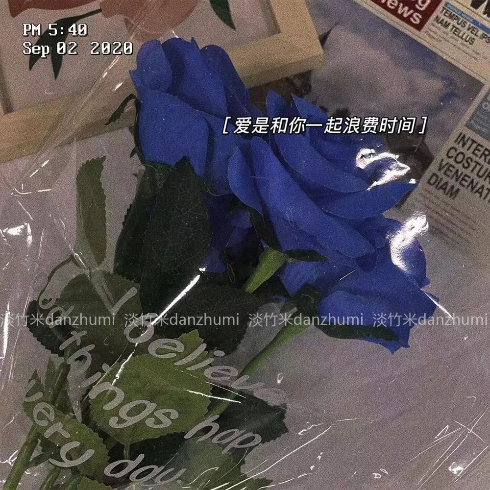 韩版ins风蓝色妖姬蓝色玫瑰仿真花高颜值浪漫绒布拍照装饰花绢花 斯洛克 Yahoo奇摩拍賣
