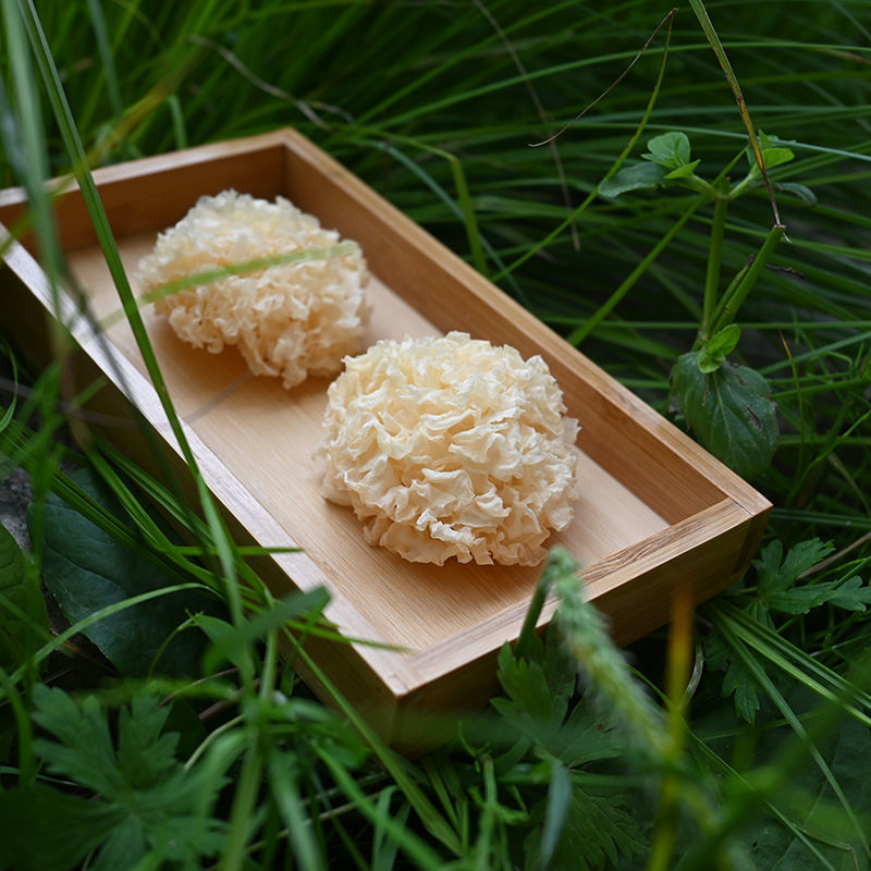 长白山野生小银耳干货白木耳250g雪耳孕妇糯耳天然无硫胜通江银耳【2